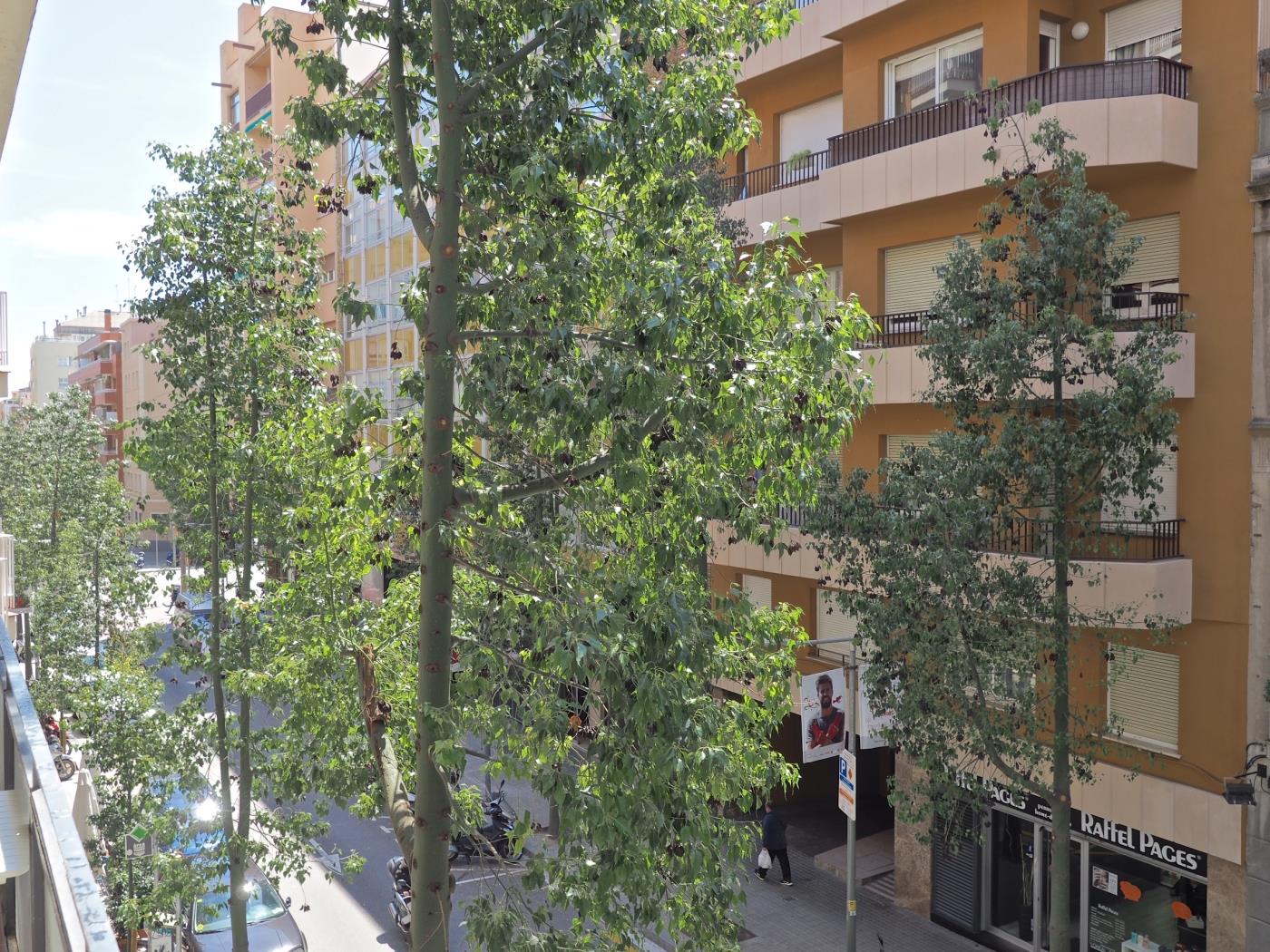 Executive apartment in Les Corts near the Camp Nou for 5 - My Space Barcelona Apartments
