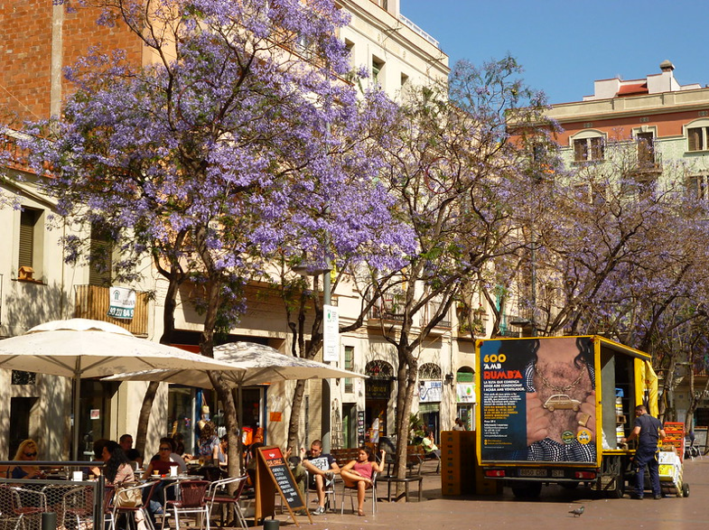 Barcelona Day 5: Shopping in Passeig de Gracia, Around University Area and  Torres Gloriés