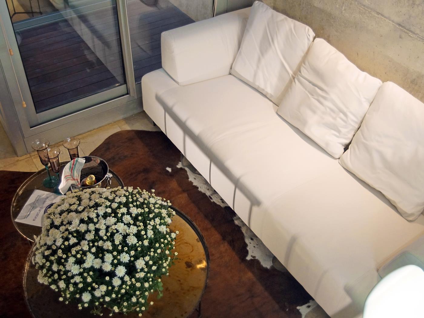 Arc de Triomf Loft in the city centre with rooftop swimming pool and terrace - My Space Barcelona Apartments