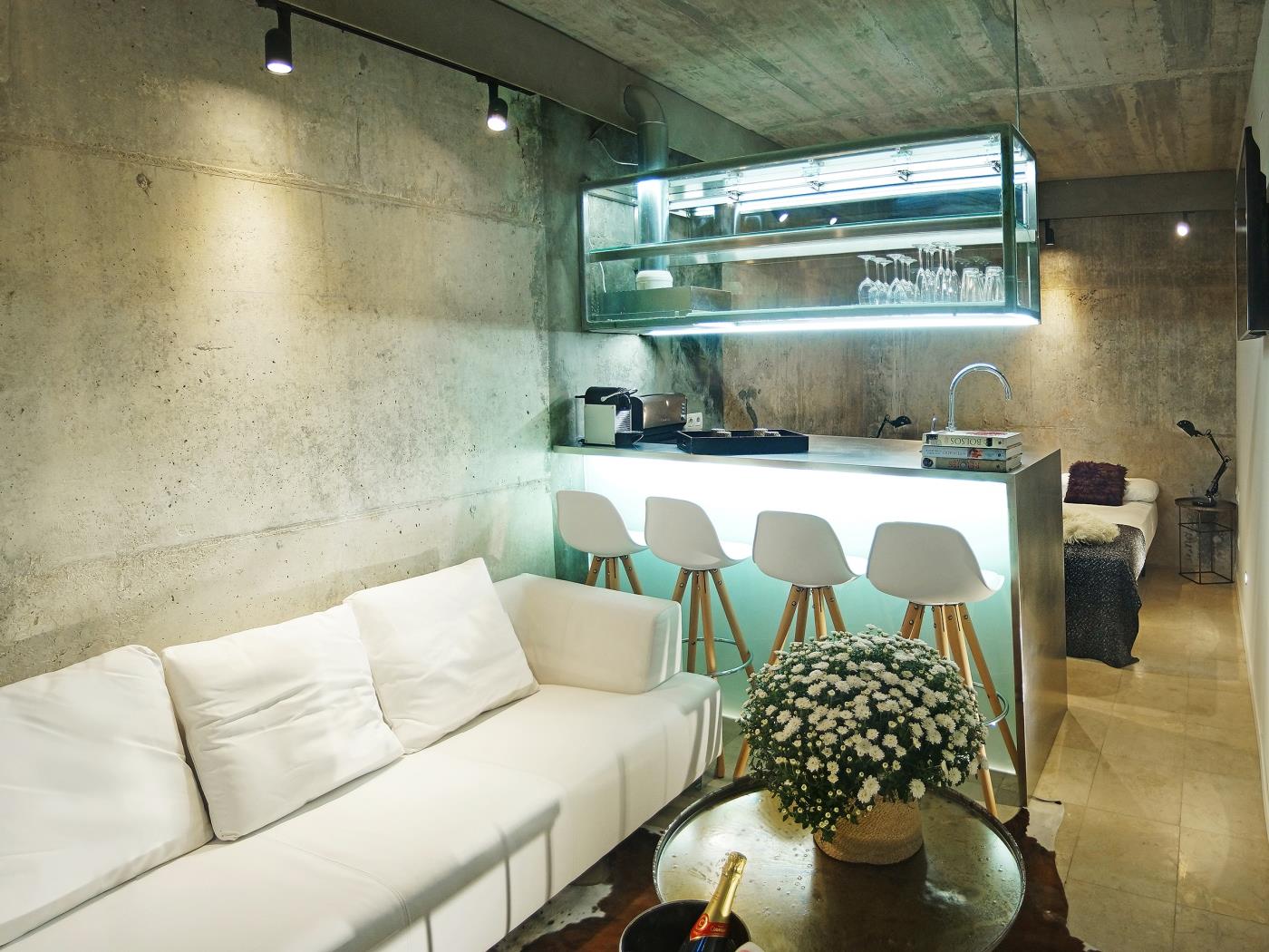 Arc de Triomf Loft in the city centre with rooftop swimming pool and terrace - My Space Barcelona Apartments