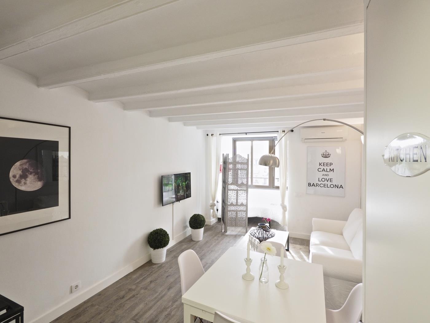 Poble Sec apartment in the centre of with small terrace for 4 - My Space Barcelona Apartments