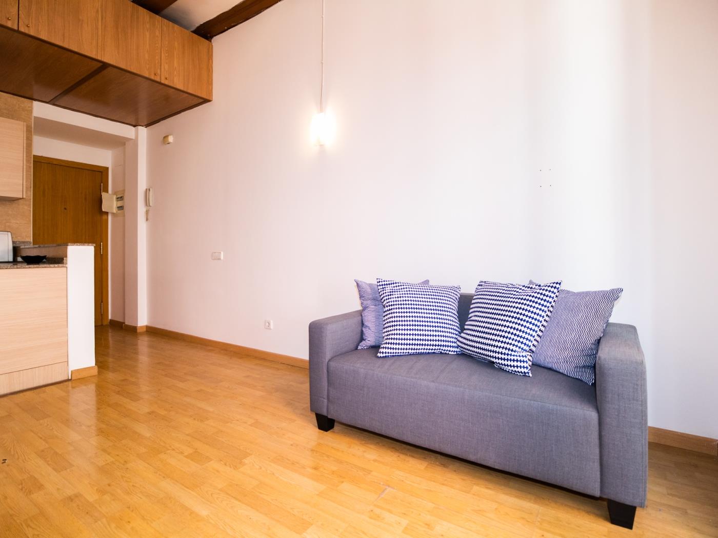 Charming apartment in the heart of Barcelona, in the Gothic Quarter for 4 - My Space Barcelona Apartments