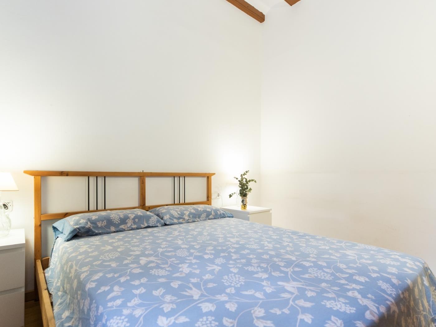 Ideal apartment in the city centre in the Ghotic Quarter ideal for couples - My Space Barcelona Apartments