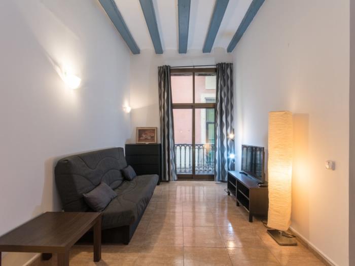 One-bedroom Apartment in the Gothic Quarter near Pompeu Fabra in Barcelona - My Space Barcelona Apartments