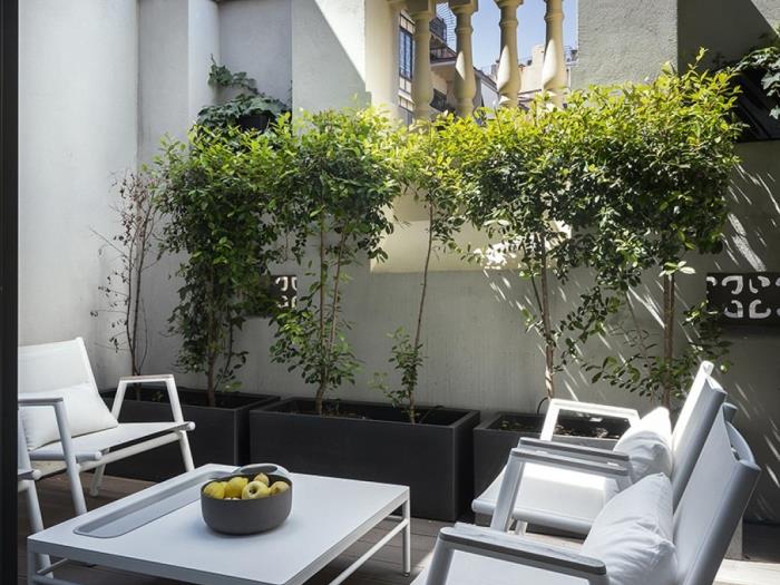 Charming apartment with private terrace in the heart of Eixample by months - My Space Barcelona Apartments