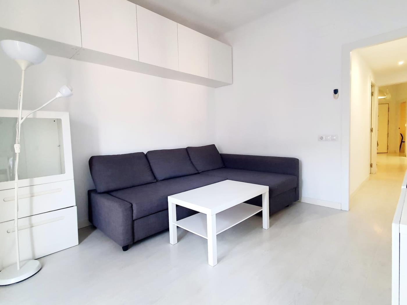 Spacious and central flat with 4 bedrooms - My Space Barcelona Apartments