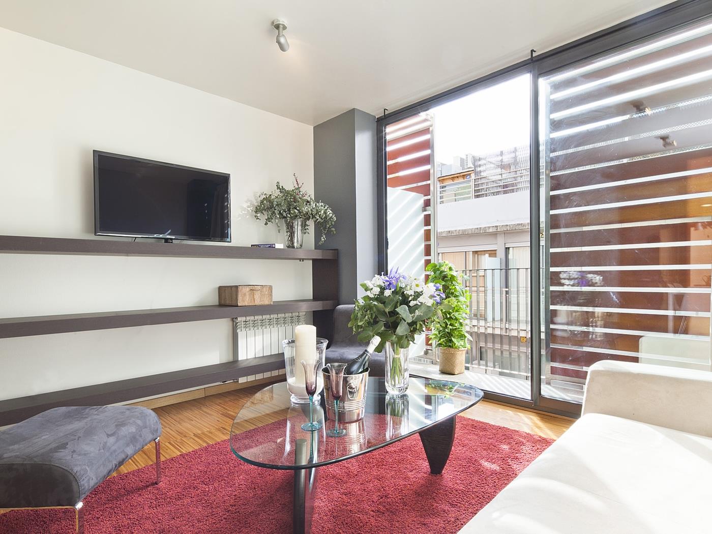 Group of 3 apartments for up to 18 people with private terrace - My Space Barcelona Apartments