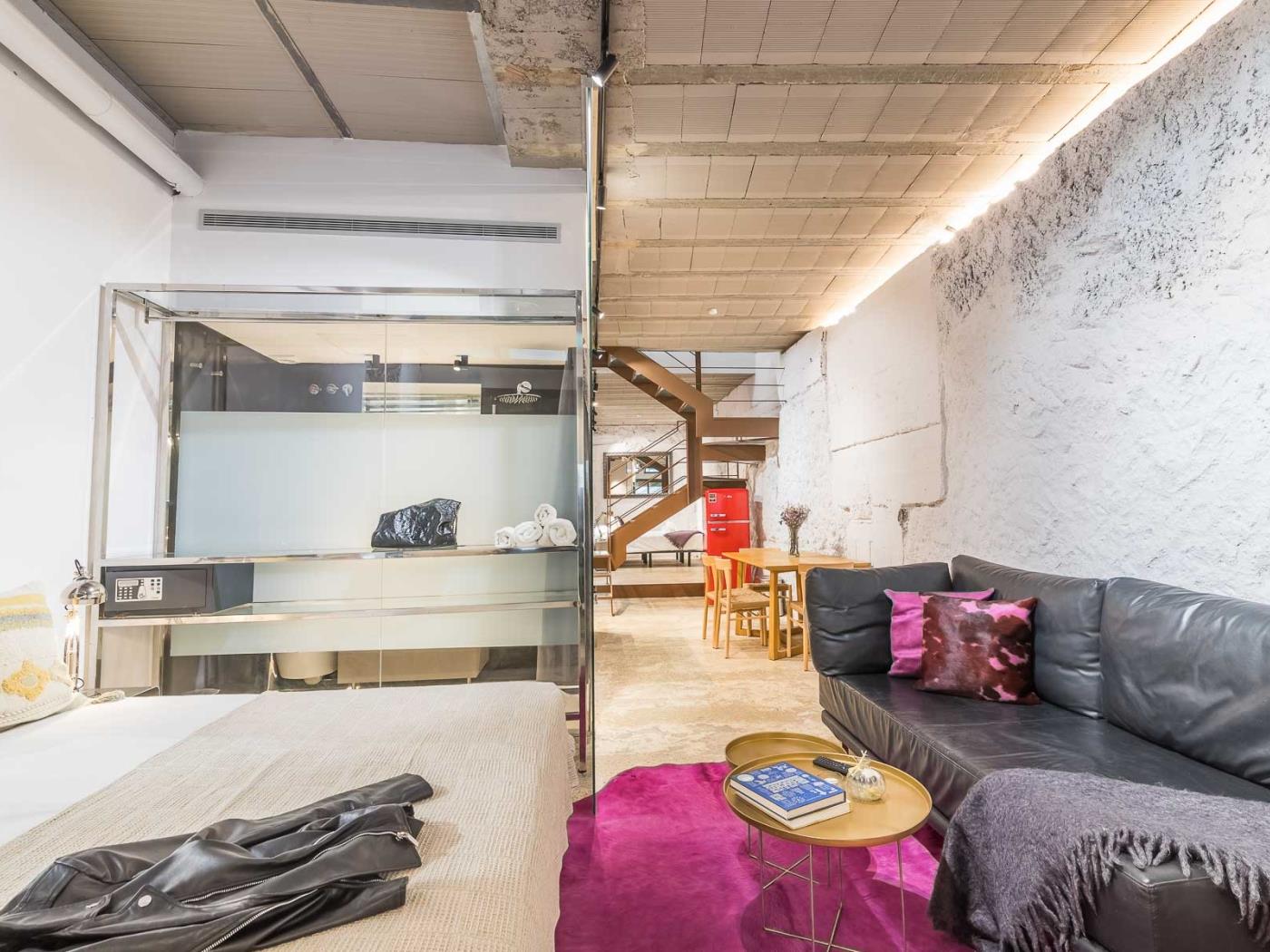 My Space Barcelona Industrial Loft with Private Terrace in Sant Gervasi for 5 - My Space Barcelona Apartments