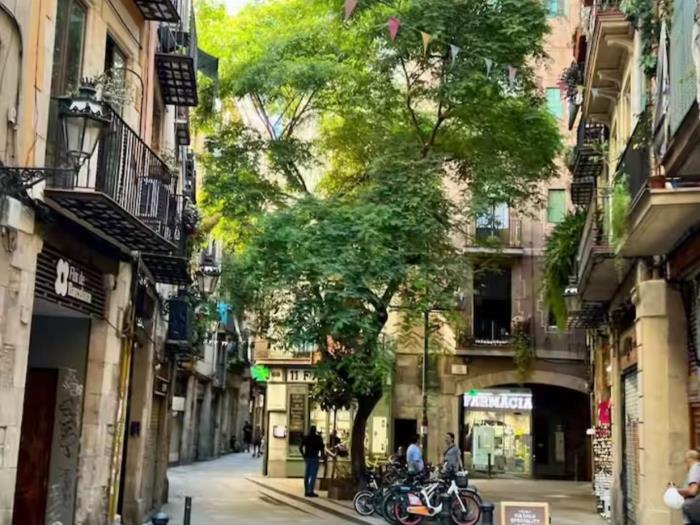 Charming El Born Loft – 31 Nights Min, Top Location - My Space Barcelona Apartments
