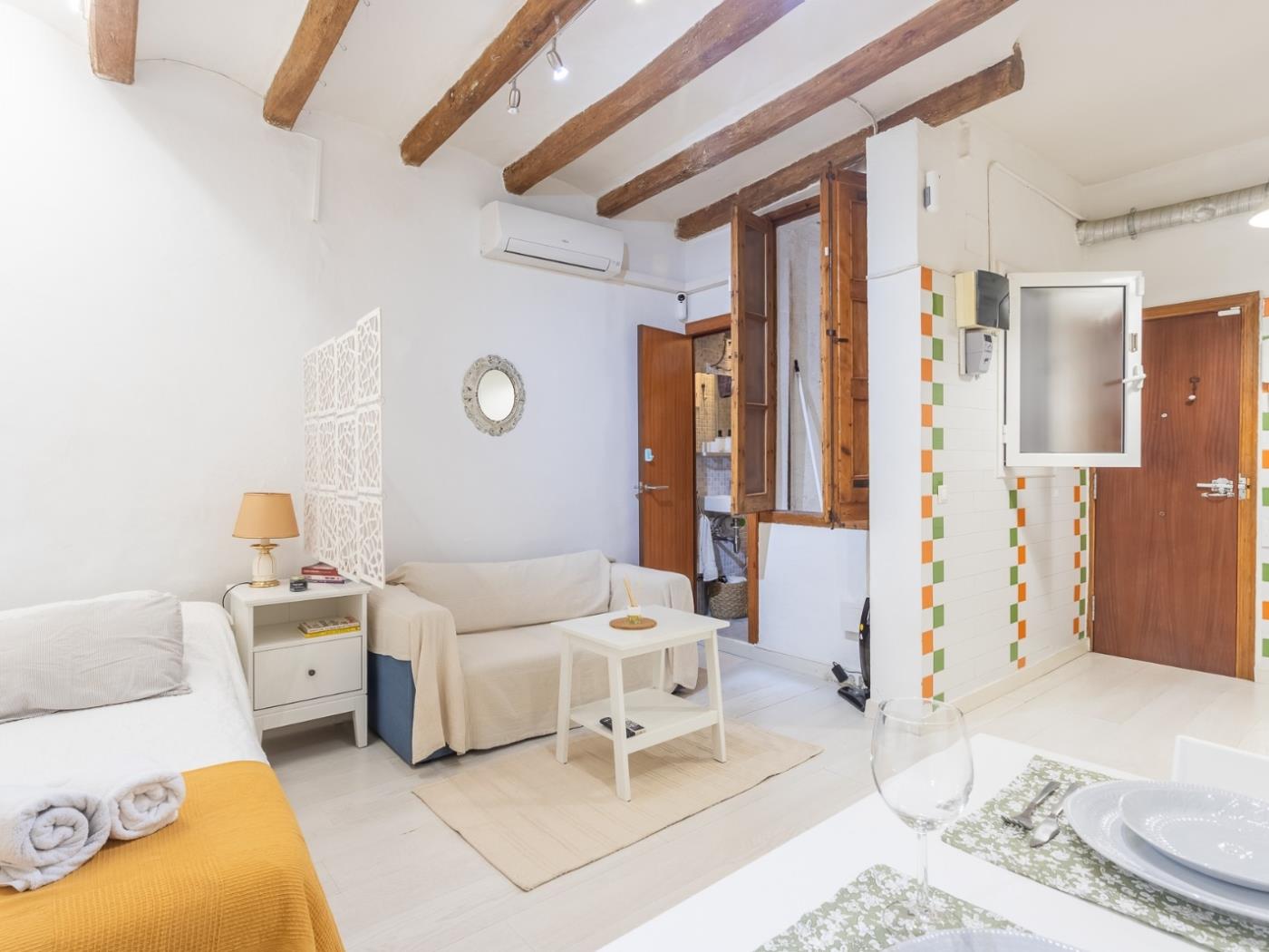 Charming El Born Loft – 31 Nights Min, Top Location - My Space Barcelona Apartments