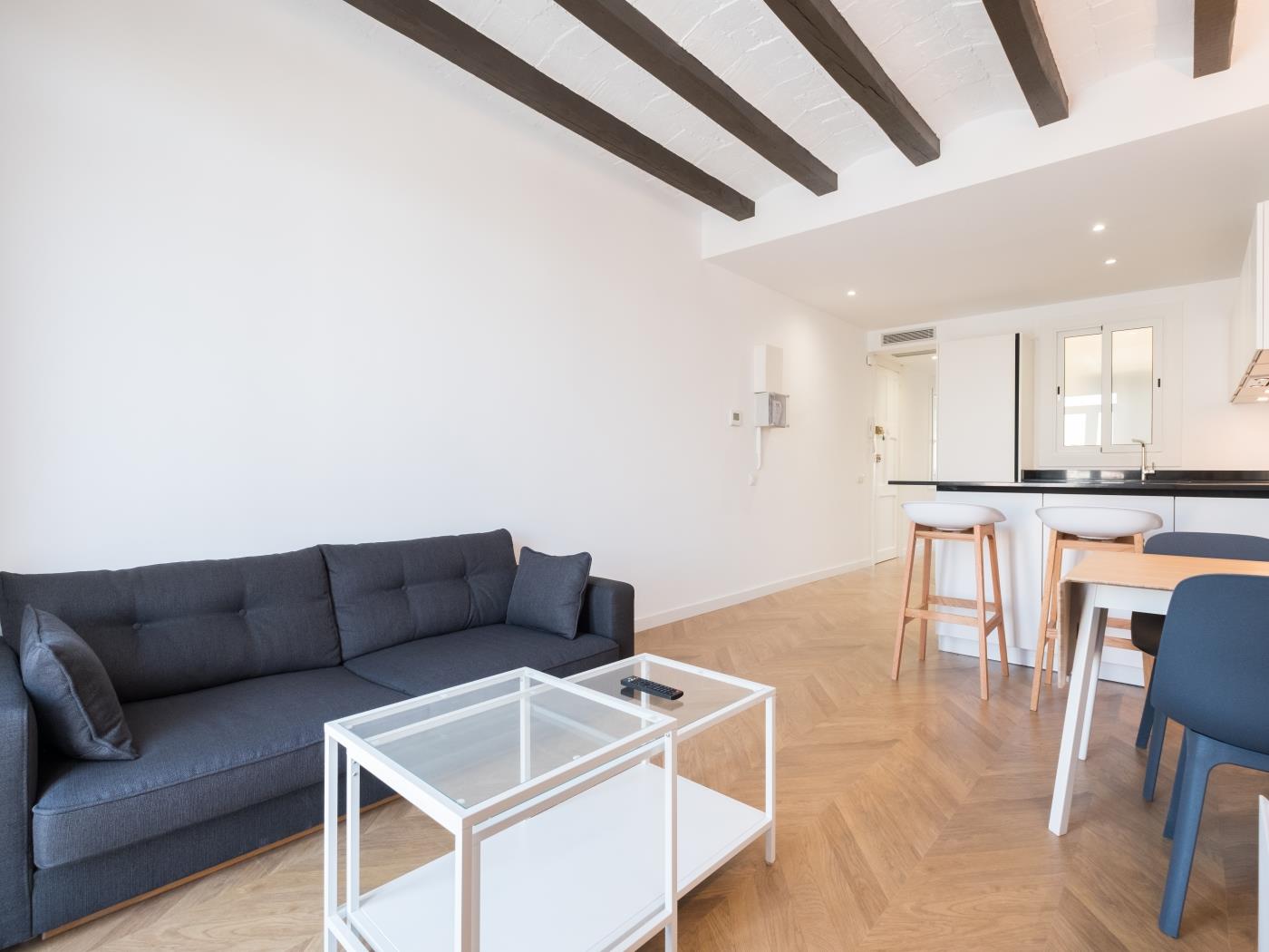 Bright 2-Bedroom Flat in Barceloneta - My Space Barcelona Apartments